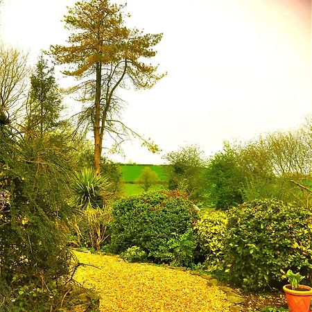 Heddfan Bed & Breakfast Llanboidy Dış mekan fotoğraf