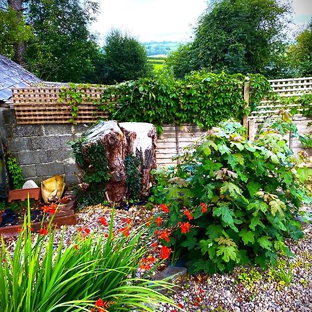 Heddfan Bed & Breakfast Llanboidy Dış mekan fotoğraf