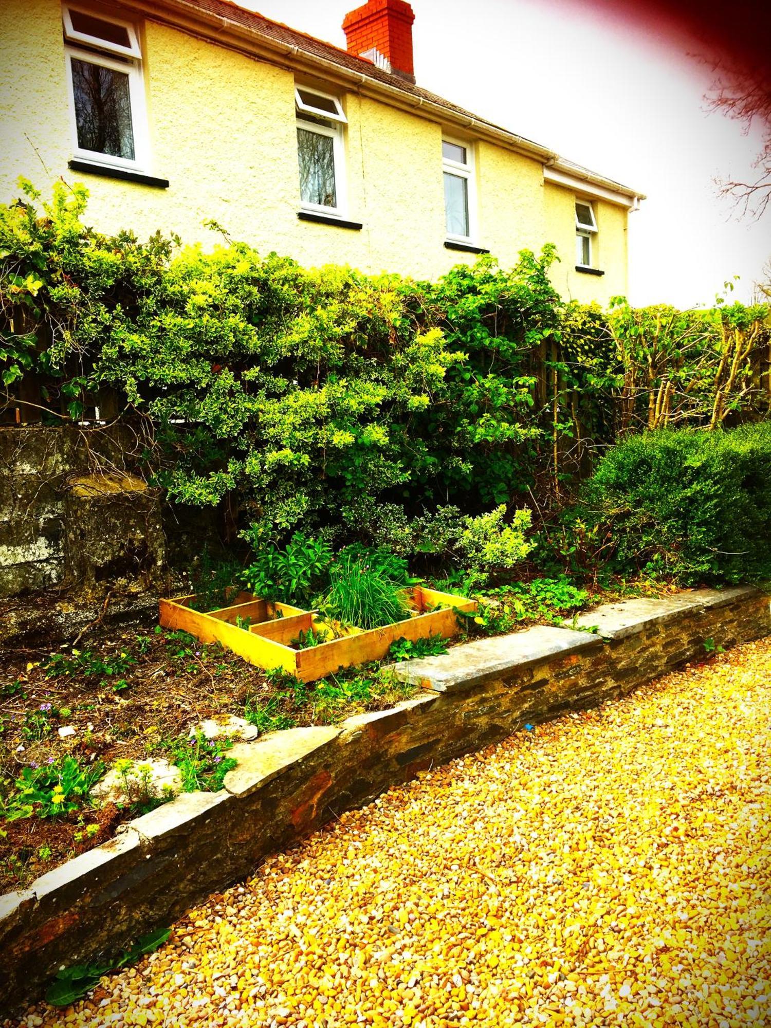 Heddfan Bed & Breakfast Llanboidy Dış mekan fotoğraf